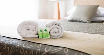 Capella Coach Inn - Hotel WA 2