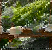 The Burrow At Wombat Bend - Hotel WA