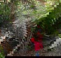 12 Apostles Cottages - Hotel WA