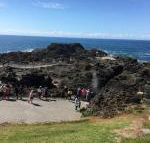 Sea Whispers - Hotel WA