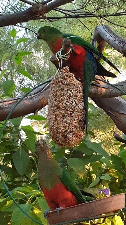 Astley Cottage - Hotel WA 1