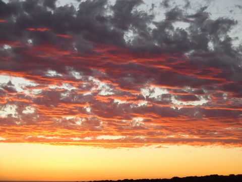 On The Deck @ Shark Bay - Hotel WA 6