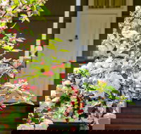 Apple Blossom Cottage - Hotel WA