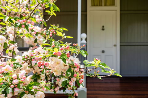 Apple Blossom Cottage - Hotel WA 0