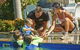 BIG4 Tasman Holiday Parks - Rowes Bay - thumb 2