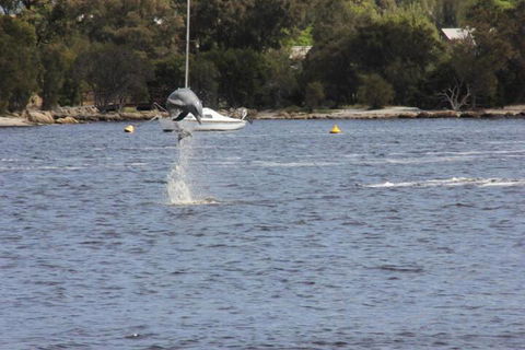 Tani Hill - Hotel WA 1