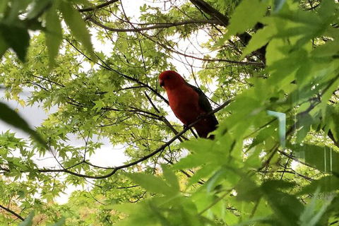 The Studio Yarra Valley - Hotel WA 7