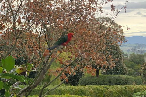 The Studio Yarra Valley - Hotel WA 4