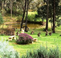 Countryside Connections Tranquil Studio