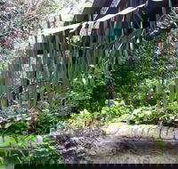 Lemonade Creek Cottages - Hotel WA