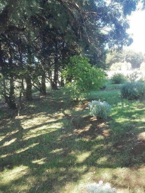 Cozy Stay Cottage - Hotel WA 2