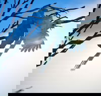 Tenterfield Cottage Holiday House - Hotel WA