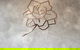 Gardenia Cafe - thumb 0