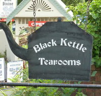The Black Kettle Sassafras