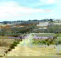 Main Ridge Harvest - Hotel WA