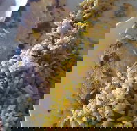 Horsham Masala Indian Restaurant - Hotel WA