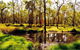 Herveys Range Heritage Tea Rooms - thumb 3