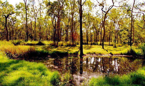 Herveys Range Heritage Tea Rooms - Hotel WA 3