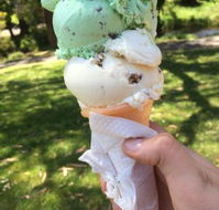 The Rainbow Ice Cream Shop - Hotel WA