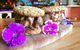 Lakeview Espresso - thumb 1