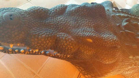 Outback Jack's Bar & Grill - Hotel WA 0