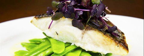 Cicchetti QVB - Hotel WA 9