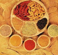 Tehzeeb Indian and Australian Restaurant - Hotel WA