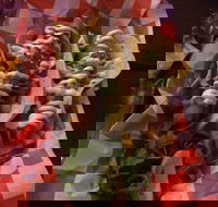 Cantina On Capri - Hotel WA