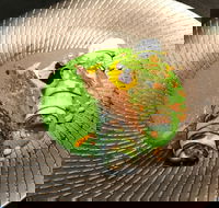 Fireplace - Hotel WA