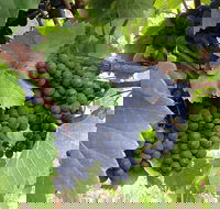 Marcus Hill Vineyard - Hotel WA