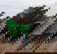 Milawa Organic Beef - Hotel WA