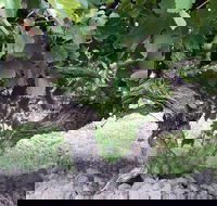 Nick Haselgrove Wines - Hotel WA