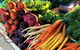 Barossa Farmers Market - thumb 0