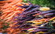 Barossa Farmers Market - thumb 2