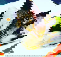 Dumpling Yum Cha Ballina - Hotel WA