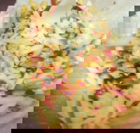 Massive Wieners - Hotel WA