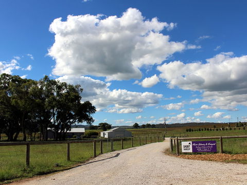 Short Sheep Micro-Winery - Hotel WA 0