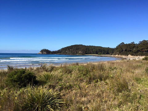 Surf Beach Cafe - Hotel WA 0