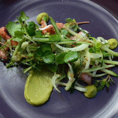 Bellbird - Hotel WA 0
