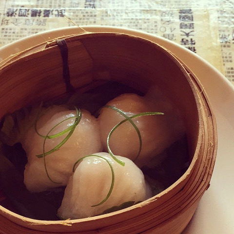 Dumplings & Beer - Potts Point - Hotel WA 0