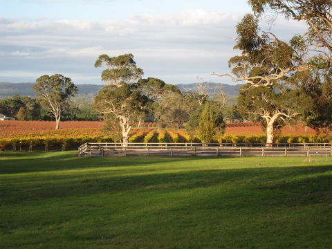 Top Note Vineyard - Hotel WA 1