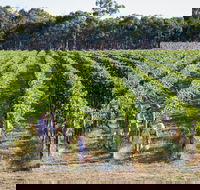 Weathercraft Wines - Hotel WA
