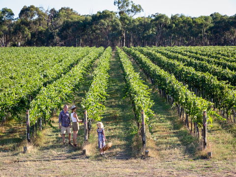 Weathercraft Wines - Hotel WA 0