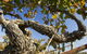 Jones Winery & Vineyard - thumb 2