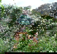 The Cidery - Hotel WA