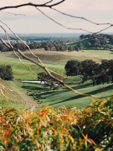 Green Door Winery Cellar Door - Hotel WA 0