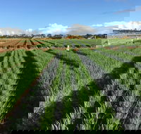 Hawkes Farm - Hotel WA