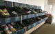 Hawkes Farm - thumb 2