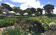 Basils Farm - thumb 2