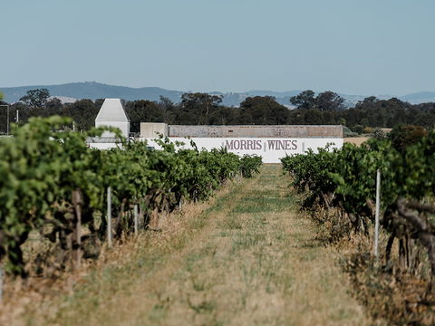 Morris Of Rutherglen - Hotel WA 0